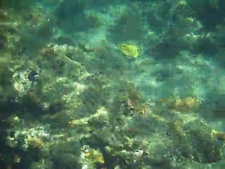 Anse Céron 12 06 2011 (9)