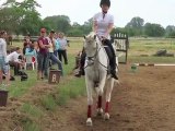 Pferdesport in Sachsen - Hofturnier bei Leipzig