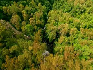 Terra nova - Nouvelle série produite par Spielberg