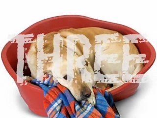 Reasons To Be Cheerful (Part 3) 12" version