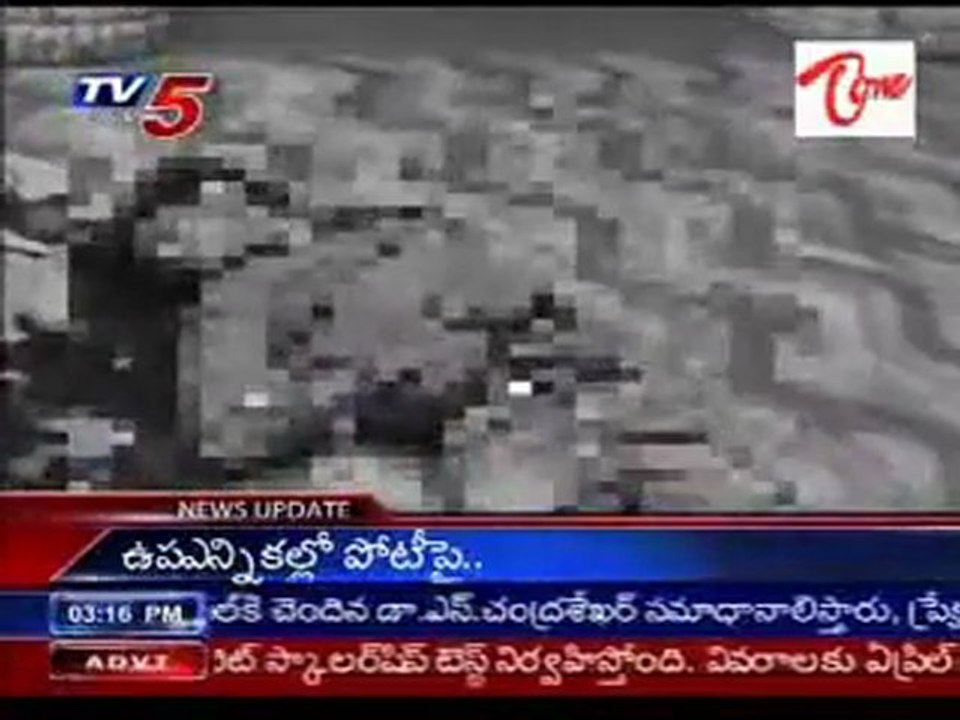 Love Birds Jumped from Lifestyle Building-died