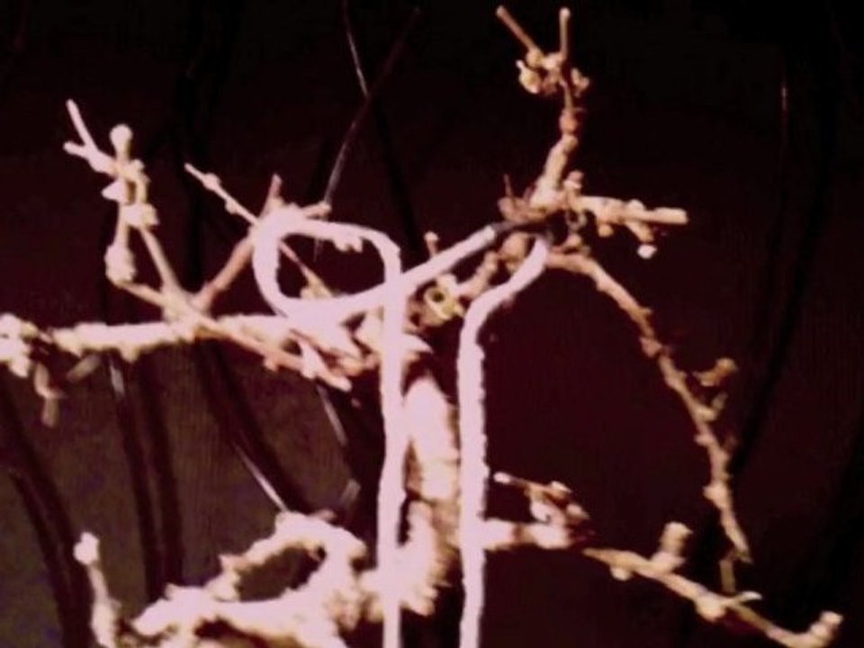 dolls can't coming to GENA FESTIVAL, June 25 2011