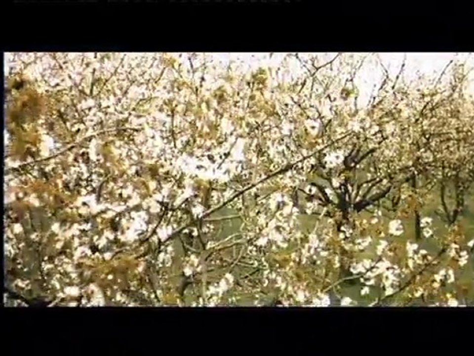 G.RAG - Metteur De Mes Reves - soundtrack from last scene of Djen Prischjol