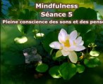 Mindfulness - Séance 5 - Pleine conscience des sons et des pensées