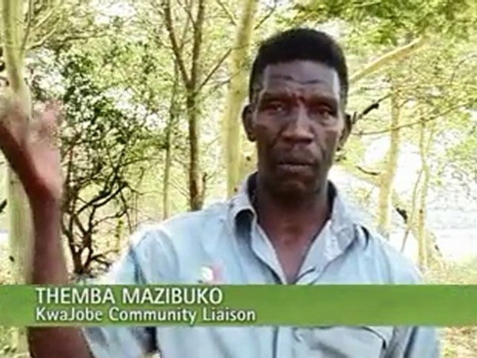Greening Your Future