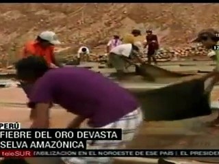 Fiebre de oro causa estragos en el Amazonas