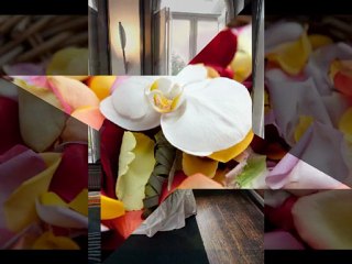 Mariage Phil et Mag suite  7 aout