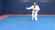 Taekwondo Pattern #7 Chil Jang Red Belt