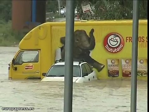 Las lluvias arrastran coches al río en Martorell