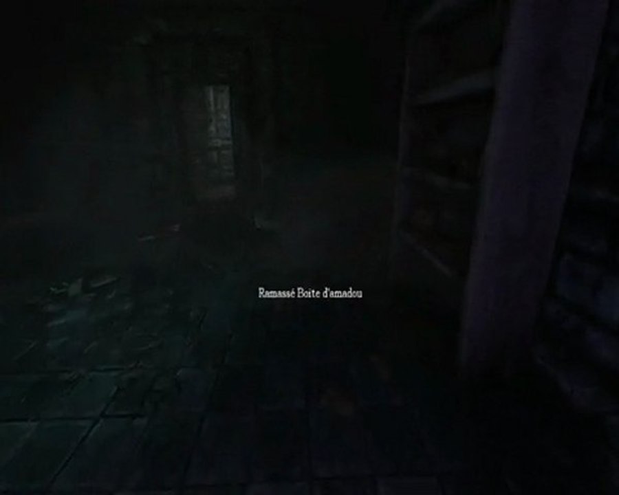 (PC) Decouverte de Amnesia avec un Yuyu et un Barguess