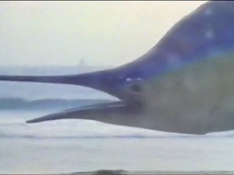 Psychic TV - Good Vibrations