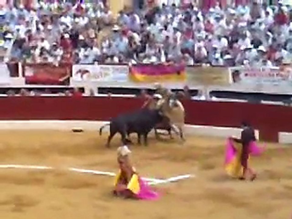 CUADRI