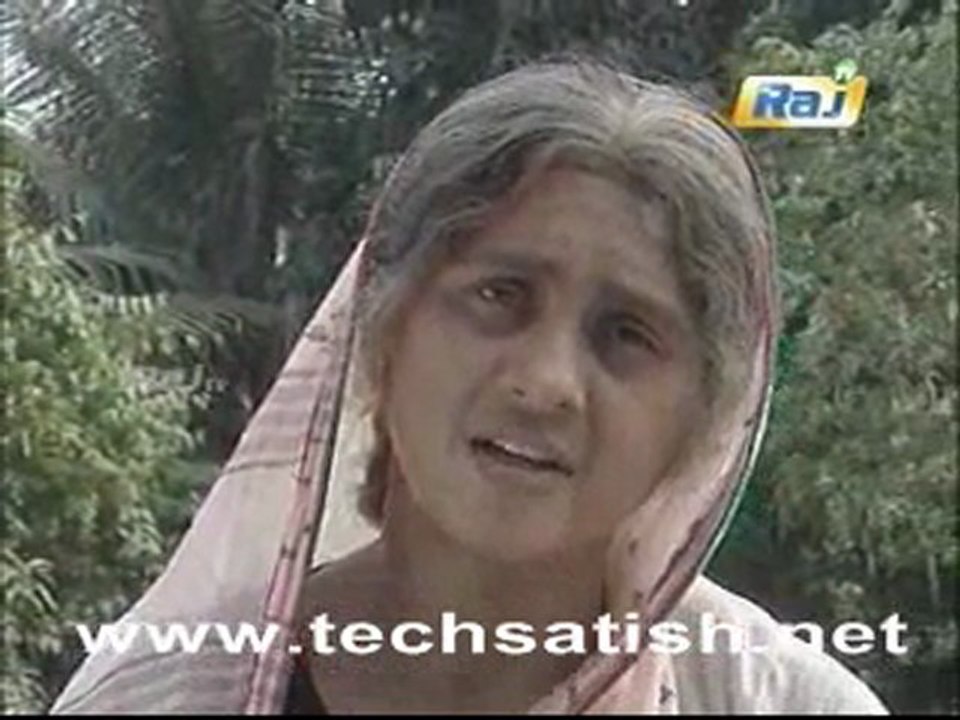 kodimullai