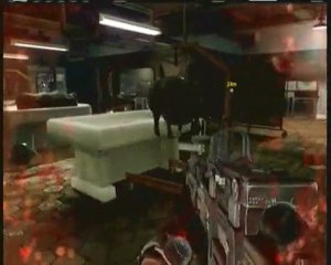 (thegamer) fait le waltrougth sur black ops video 18