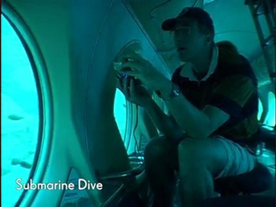 Explore Sea Life on a Cunard Yellow Submarine