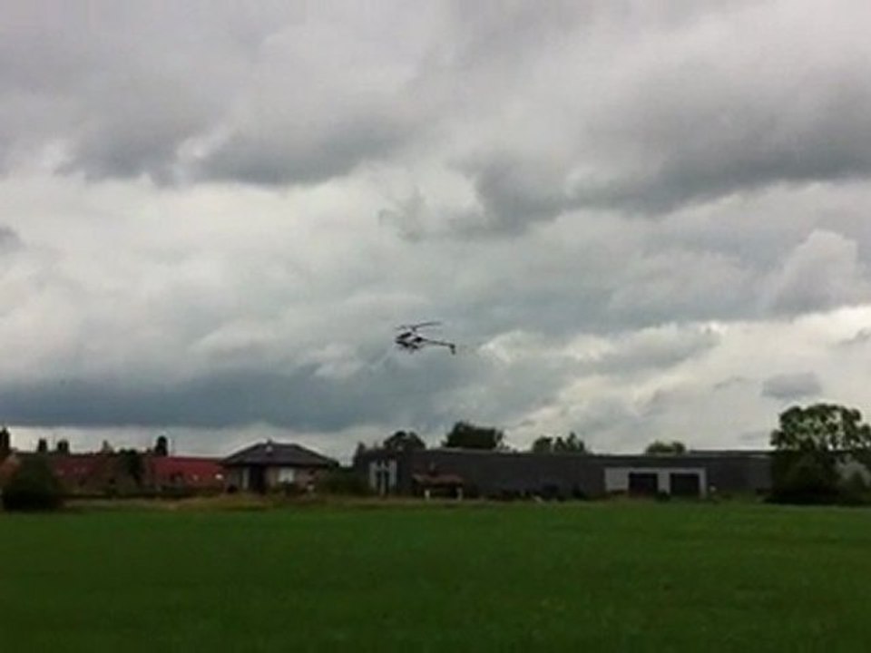 helico RC Align T-Rex 600 Nitro Limited Edition