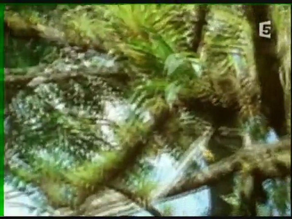 Le pouvoir des plantes 2 sur 3