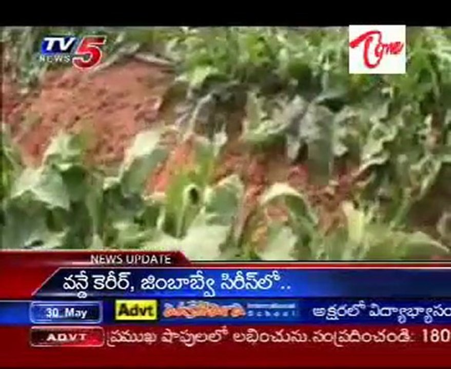 Growing Demand for Cut Flowers
