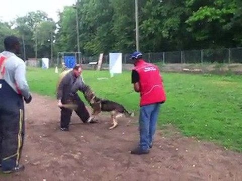 FLY de la branche du moulin 12 juin 2011 ( peu avant 9 mois) IMG_0720