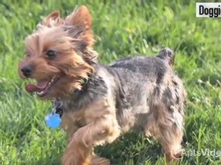 Bicycle Club Apartments in Kansas City, MO - ForRent.com