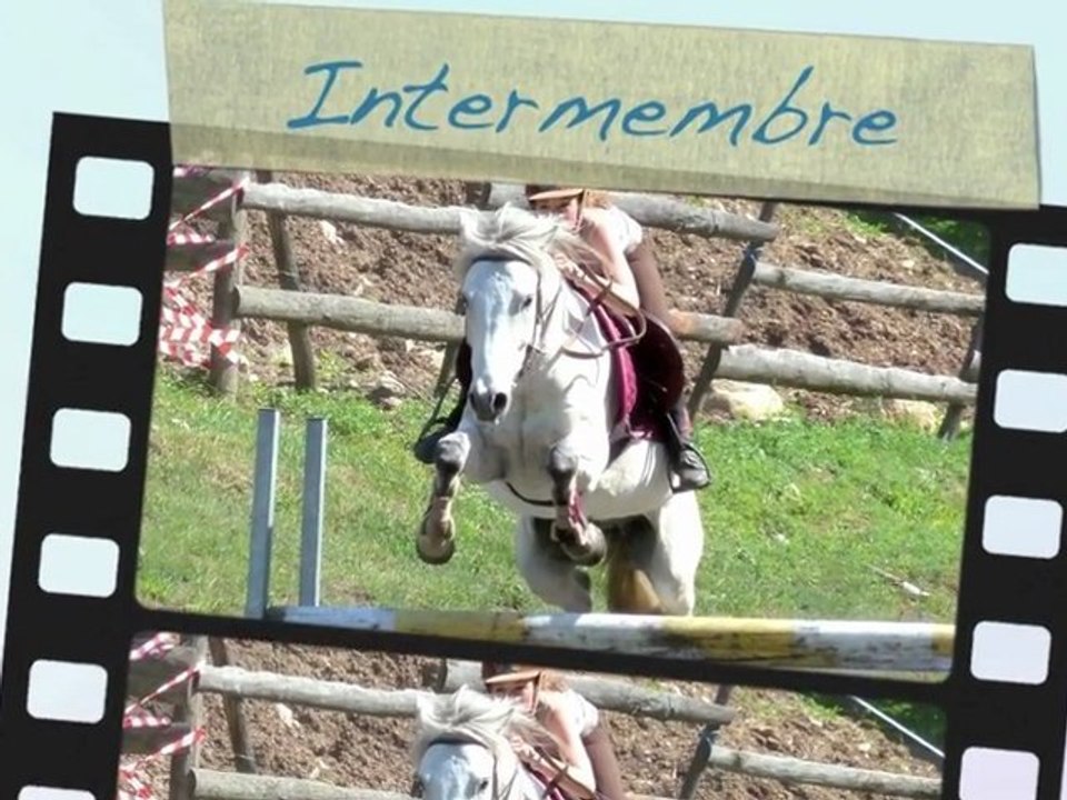 intermembre 22-05-11