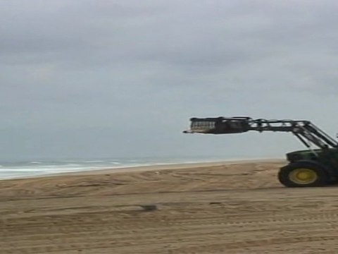 Nettoyage plage Tarnos