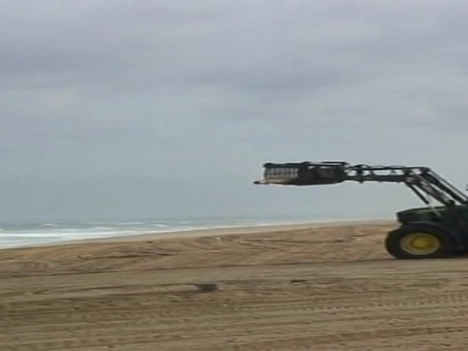 Nettoyage plage Tarnos