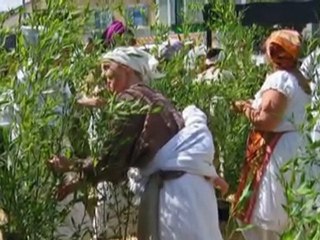 Légende des Siècles "Welcome America" 11 et 12 juin 2011