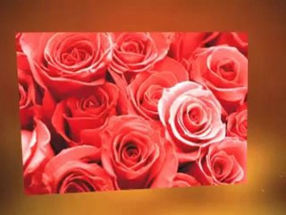 Vin DiCarlo Pandoras Box