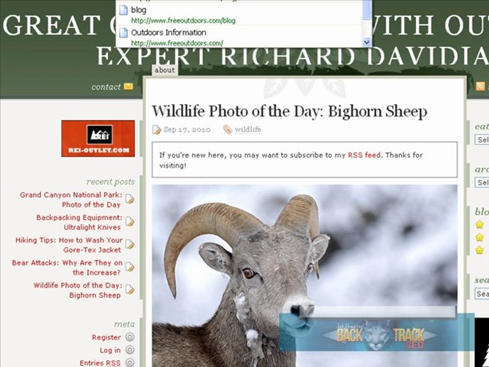 Site Review- FreeOutdoors.com