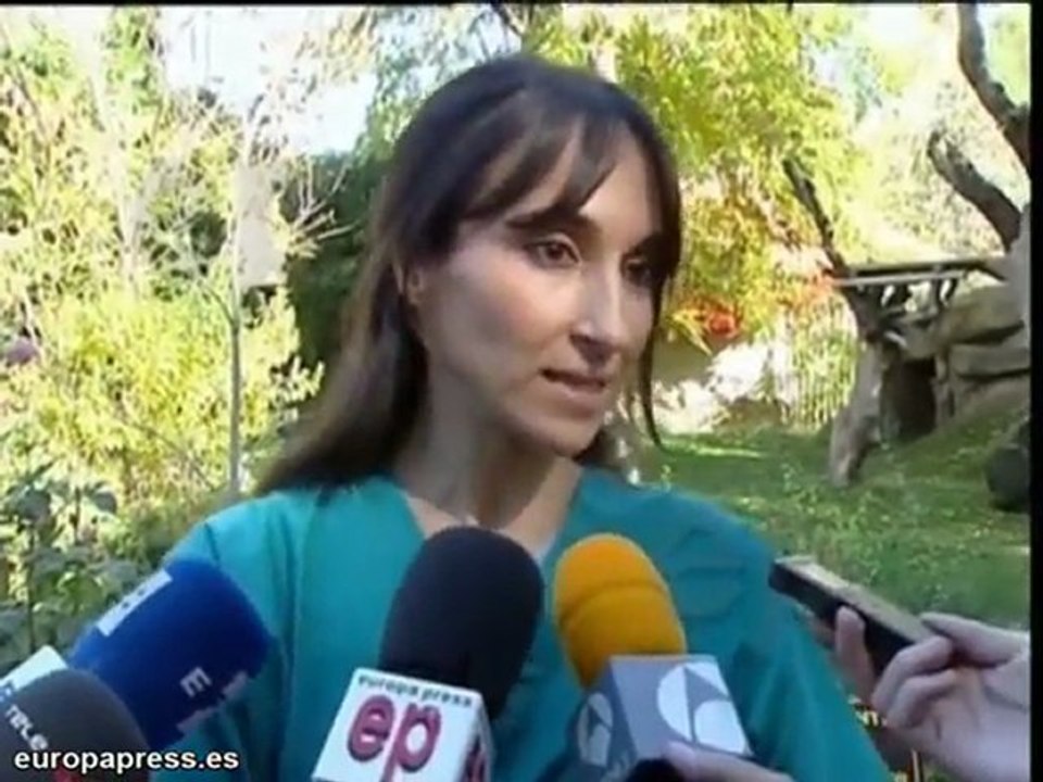 La Reina Sofía visita a dos crías de panda