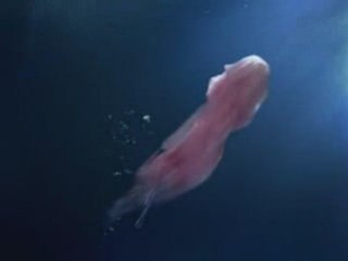 Dans les profondeurs de la machine