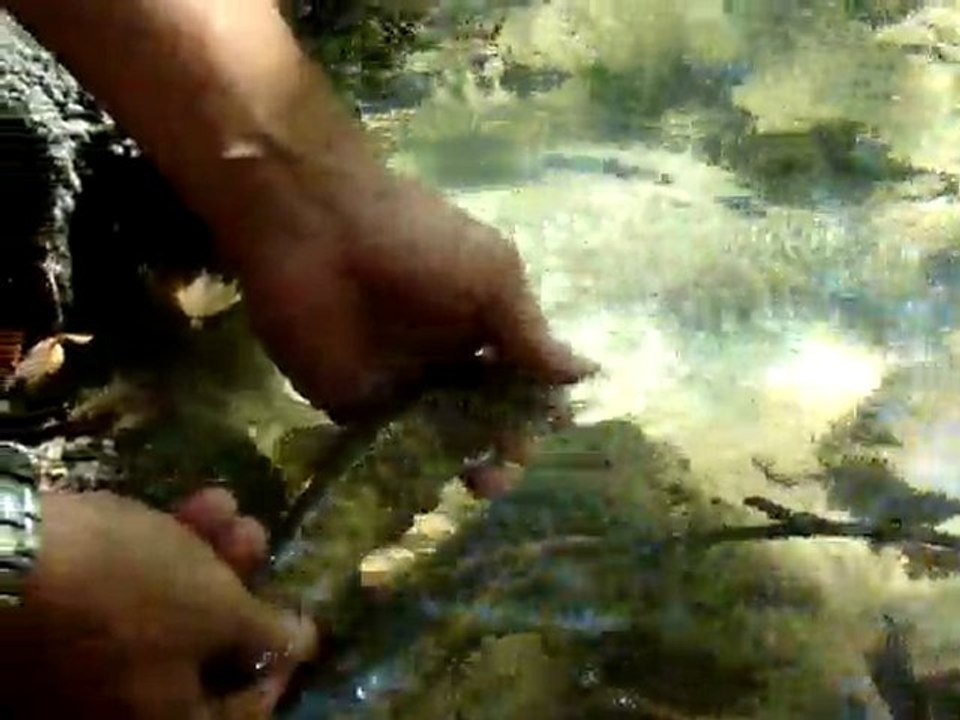 Küçük veya ihtiyaç fazlası ise suyuna iade edelim