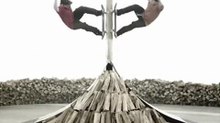 Skate : DVS Skate Create 2009 Feature Wood