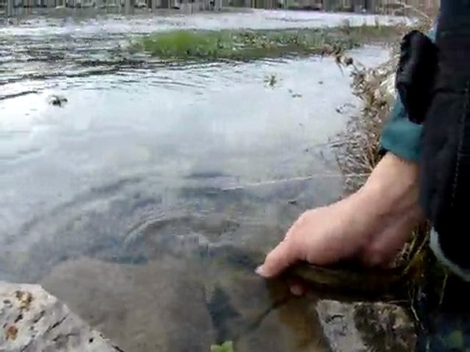 Küçük veya ihtiyaç fazlası ise suyuna iade edelim