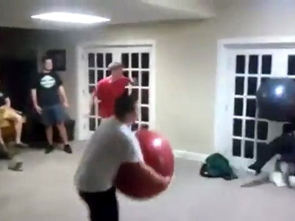 Koter tun ein Gesicht Pflanze Fail