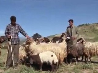 anadolu'nun kayıp şarkıları