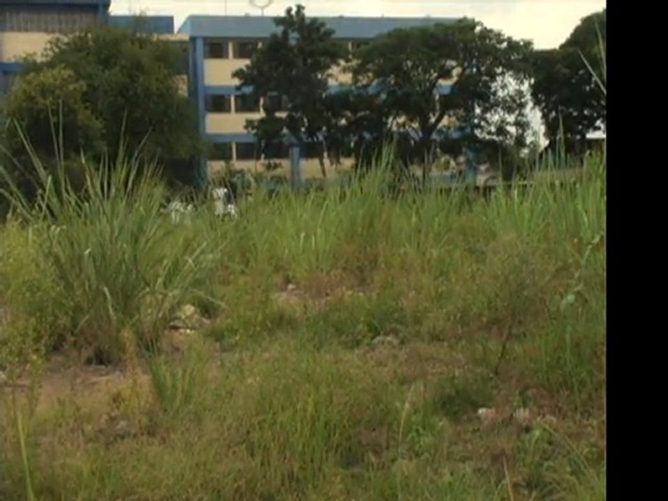 Escola Presidente Médici - grupo 2
