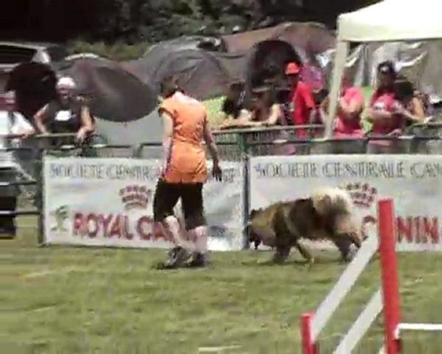 Championnat de France 2011.MP4