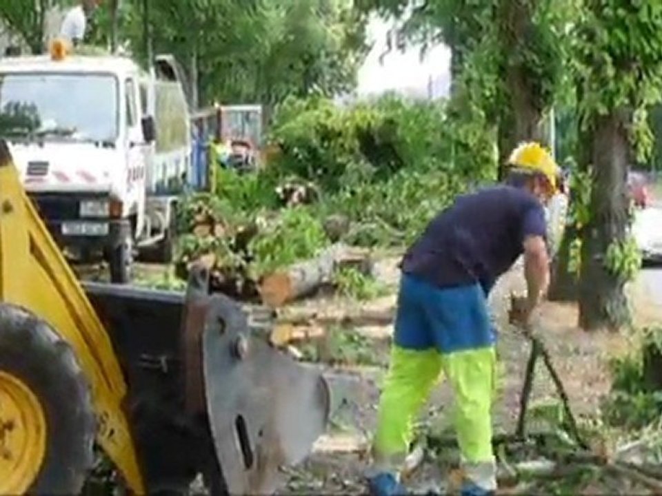 18 arbres abattus à Coutances