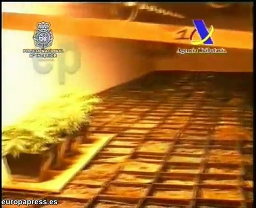 Desmantelado un sótano de marihuana en Benalmádena