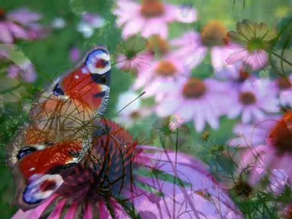 Карнавал красок