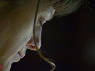 Kaffe Matthews Présences électronique 2011