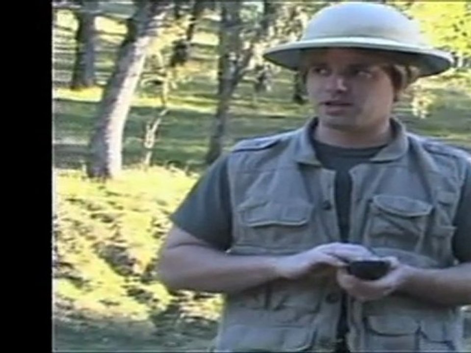 The Porn Critic reviews Womb Raider