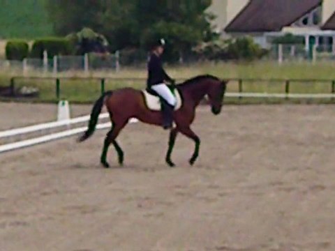 premier concours de dressage club 3 GP 59.83%