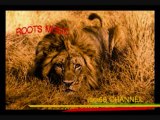 SINGER BLUE AND ROOTS YOUTHS ALLSTARS-JAH BLESS   DUB