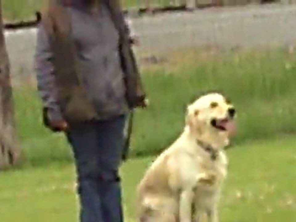 marche aux pieds de Vodka