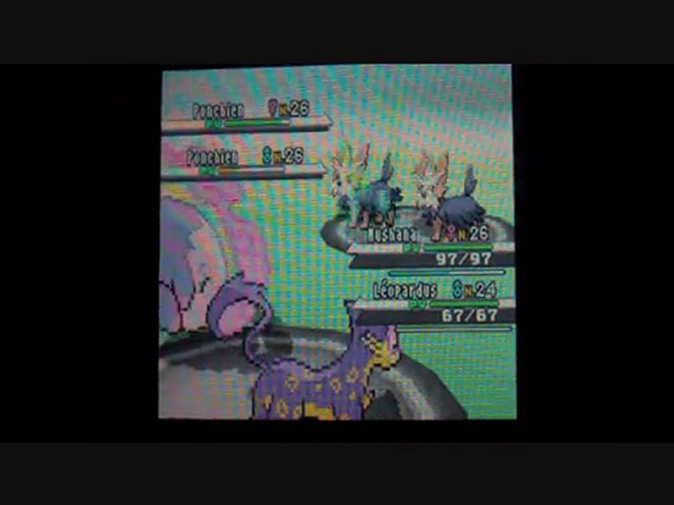 W.T Pokemon Blanc / 17 : Poulet Roti !!