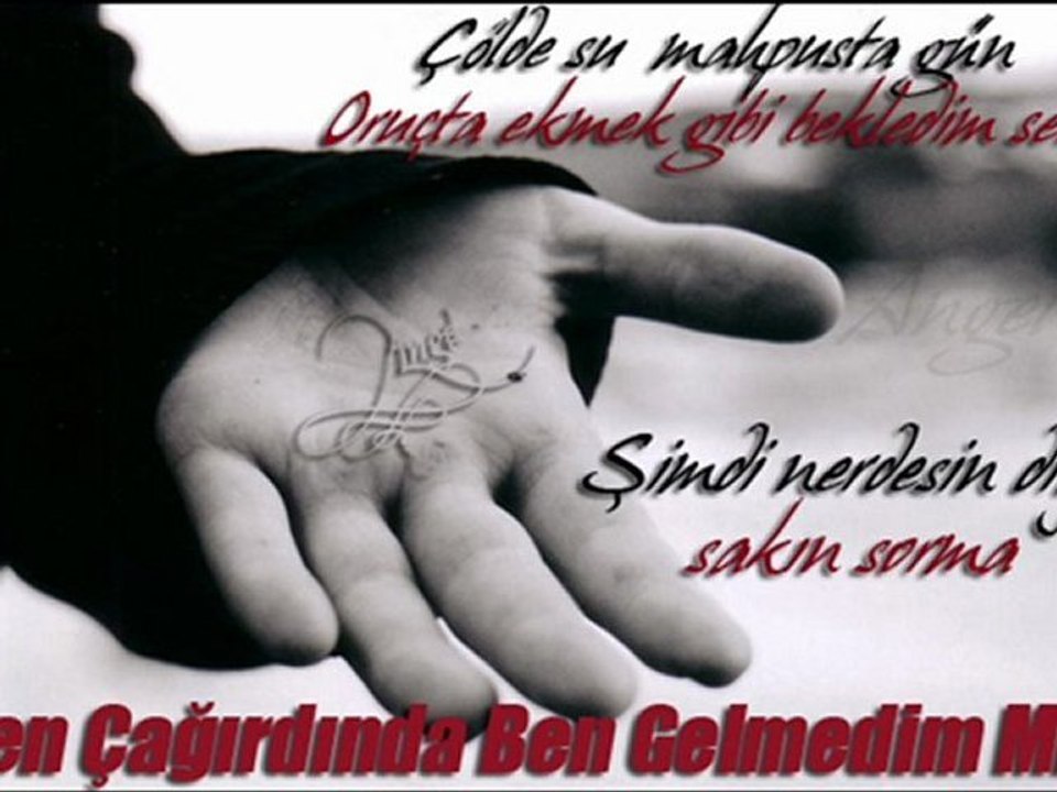 Suskun Şair Sen Vurdunda Ben Ölmedimmi