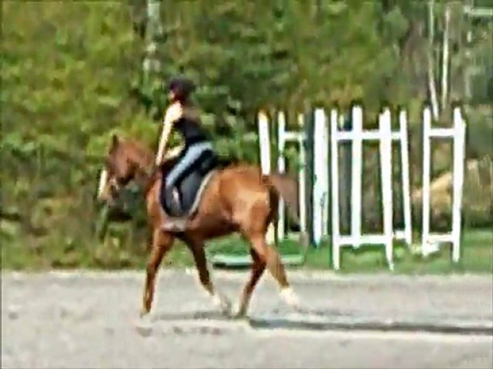 Cours de plat a cheval.Avec  Coline\Daizy & Maëlys\Ténord
